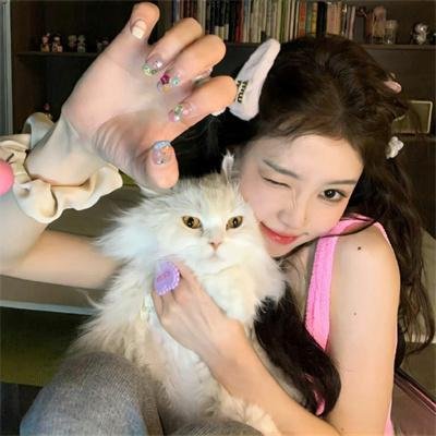 赖布衣妙算玄机粤语